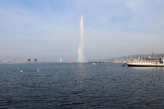 Geneva Nov 2014 002